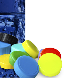 tapas, tapas garrafon productos ppt